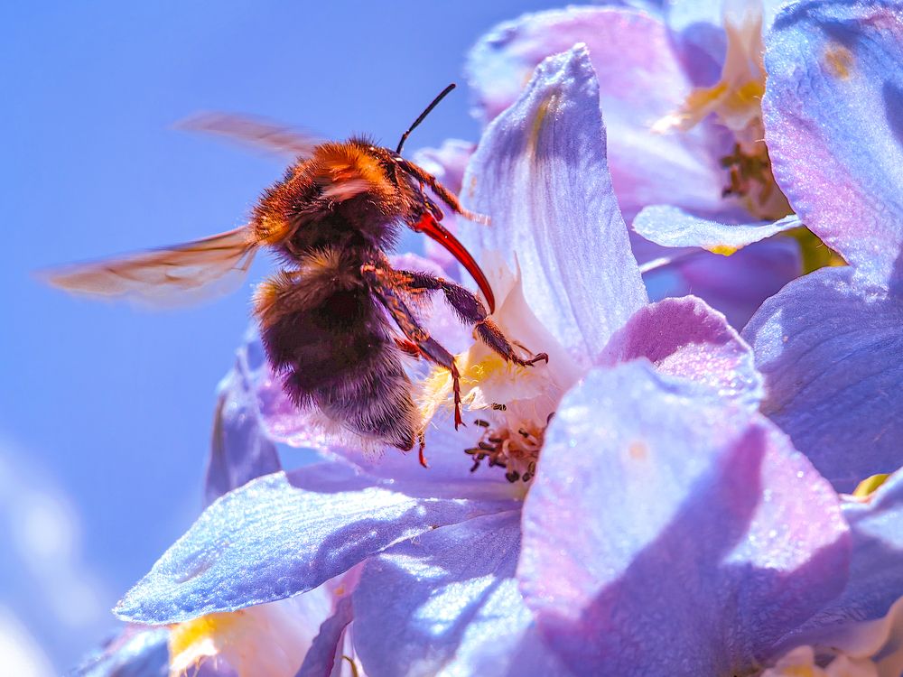 Photograph by Елена Макеева