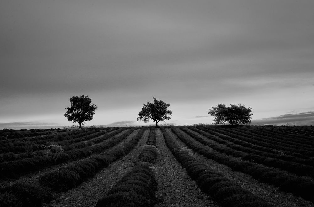 Photograph by Marina Odintsova