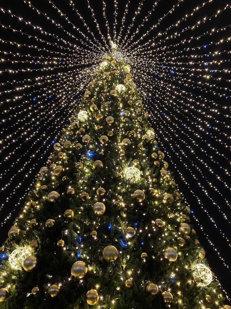 Photograph by Ангелина Марушко