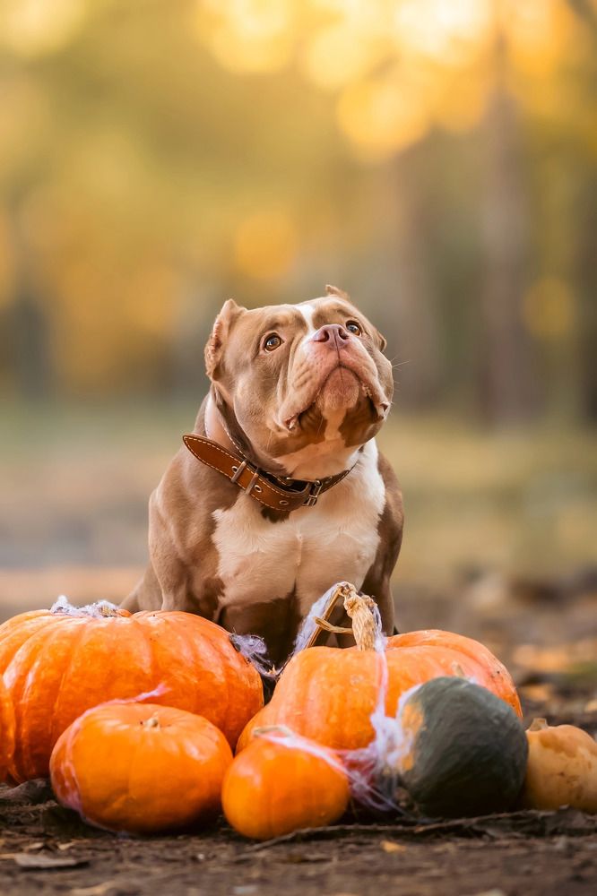 Photograph by Мария Романова