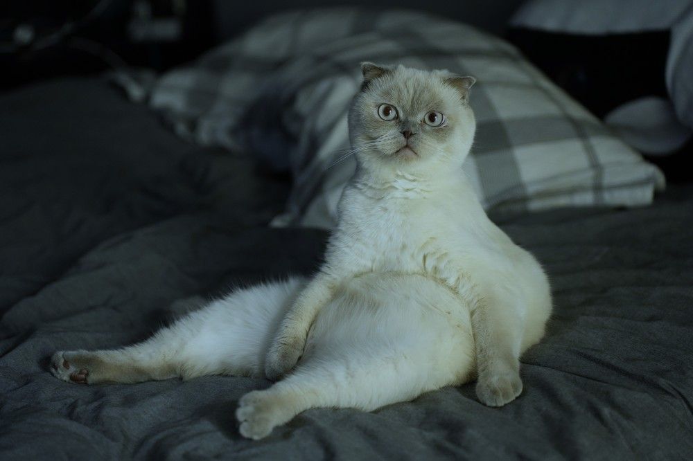 Photograph by Нодари Тваури