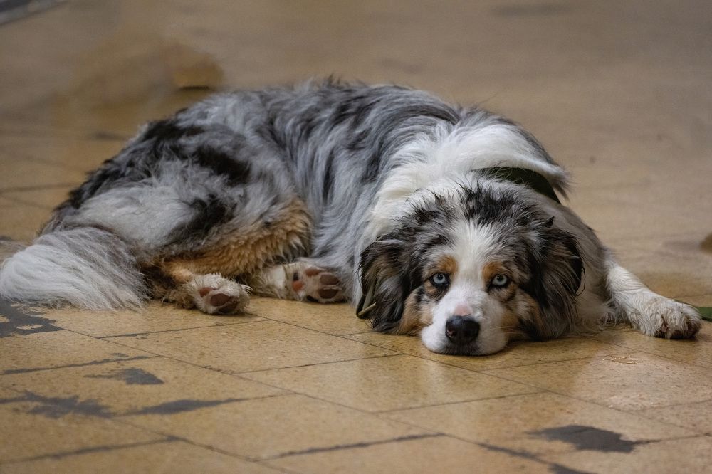 Фотография автора Ruslan Badykov