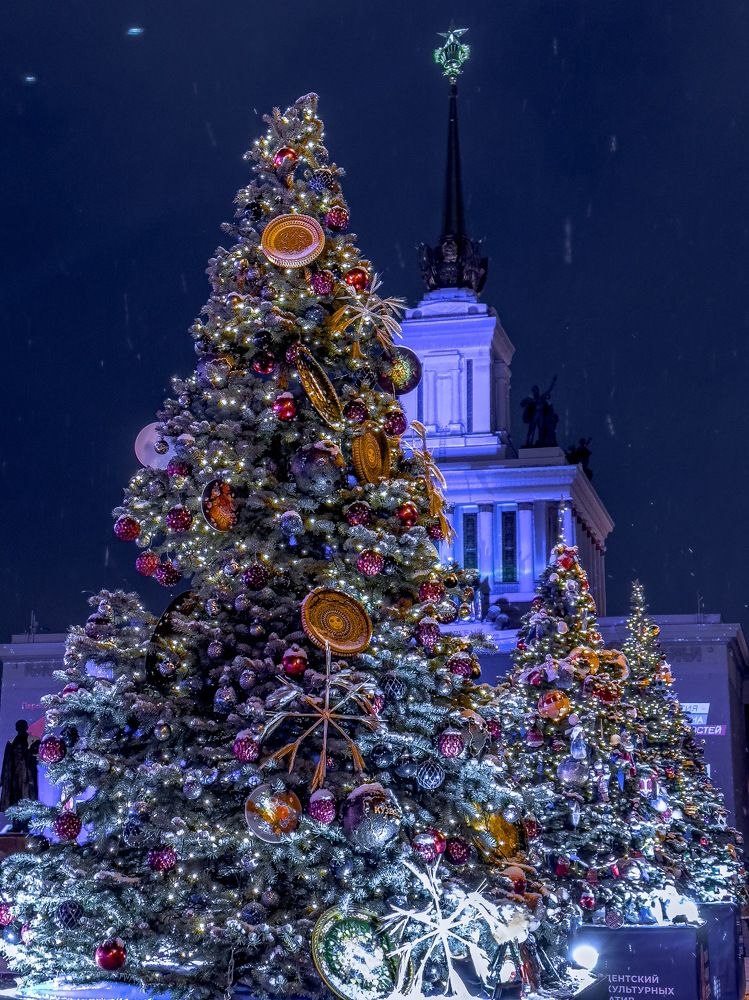 Photograph by Anastasia Astakhova