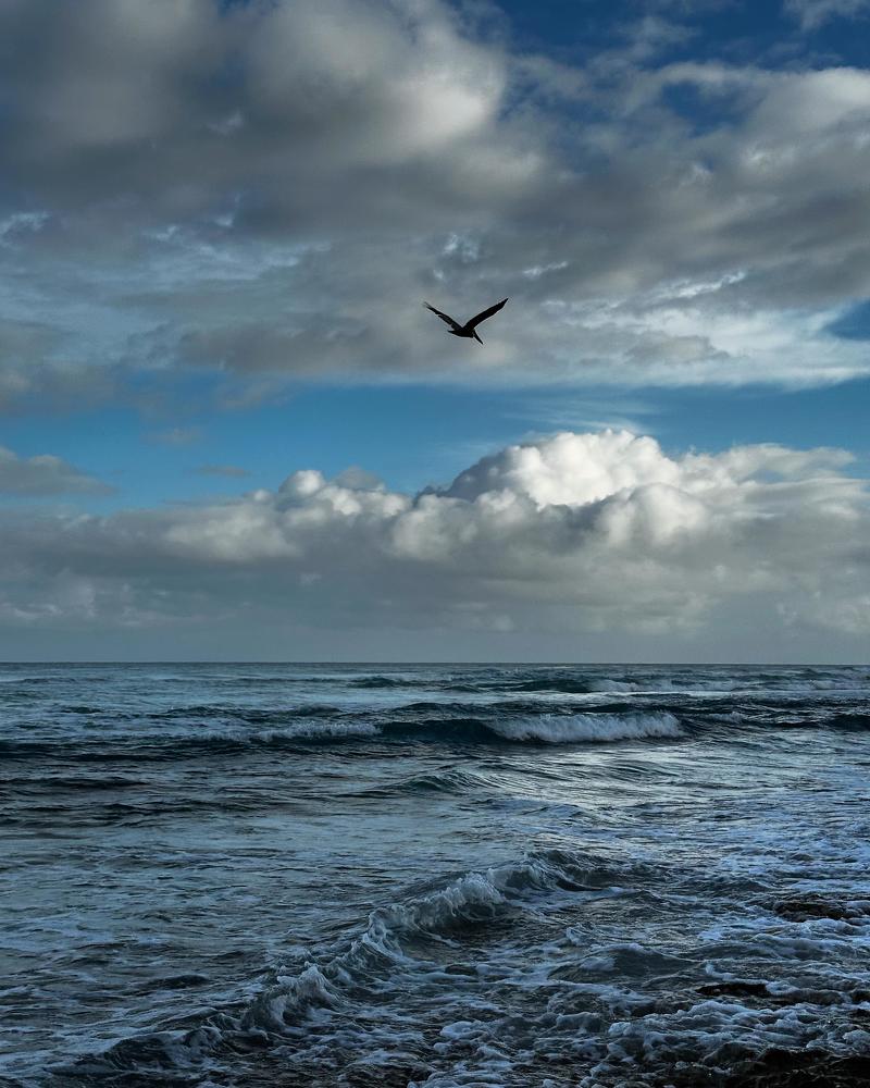 Photograph by Svetlana Rashidova