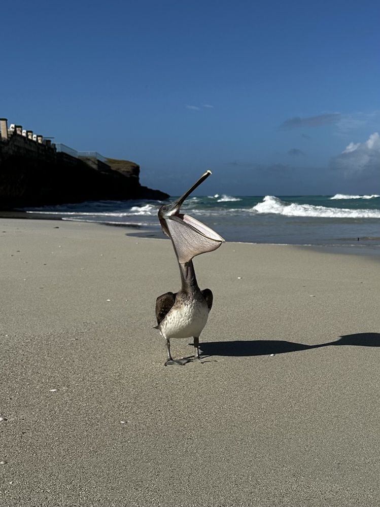 Photograph by Svetlana Rashidova