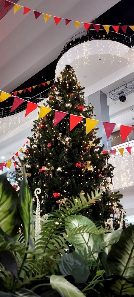 Photograph by Любовь Макарова