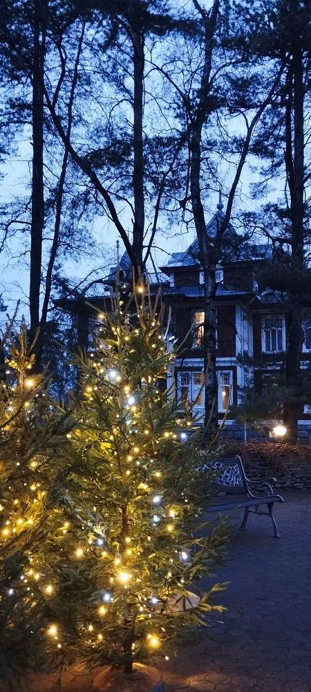 Photograph by Любовь Макарова