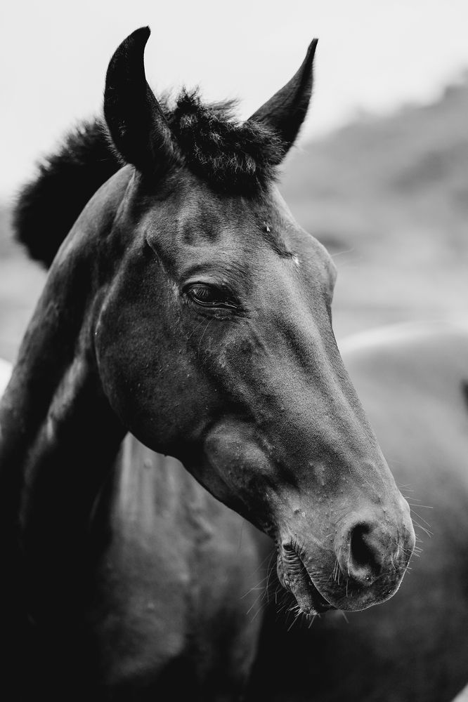 Photograph by Rafael Oliveira