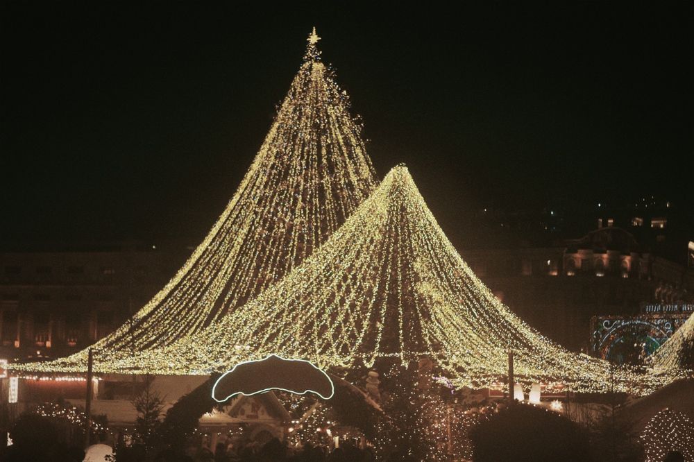 Photograph by Elvira