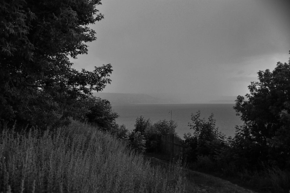 Photograph by Elvira