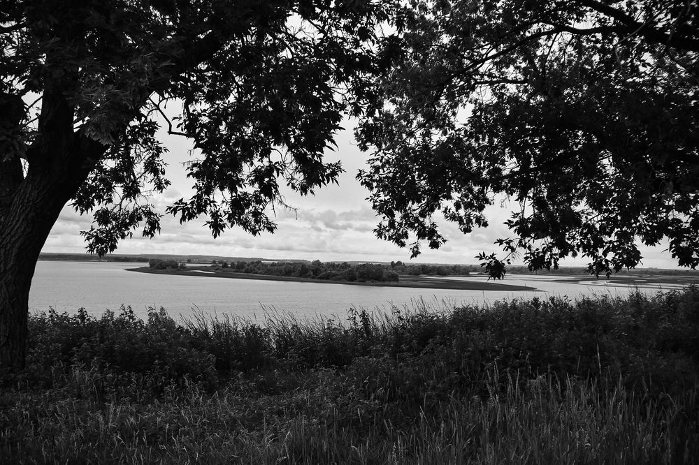 Photograph by Elvira