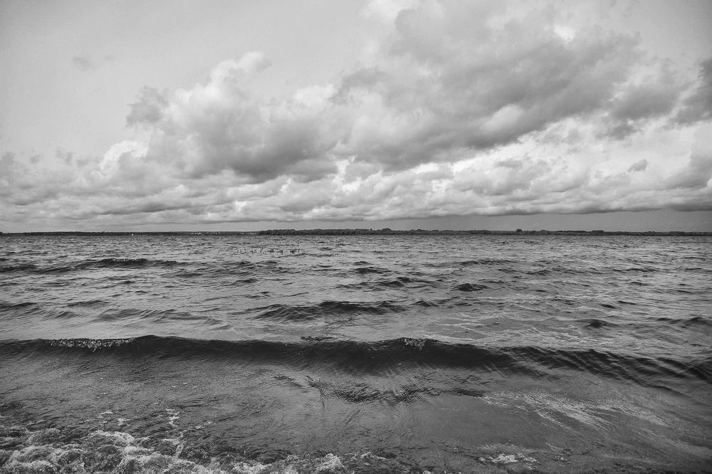 Photograph by Elvira