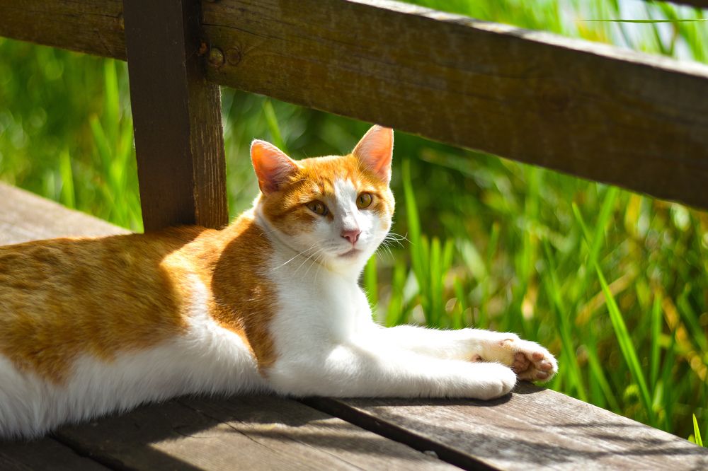 Photograph by Elvira