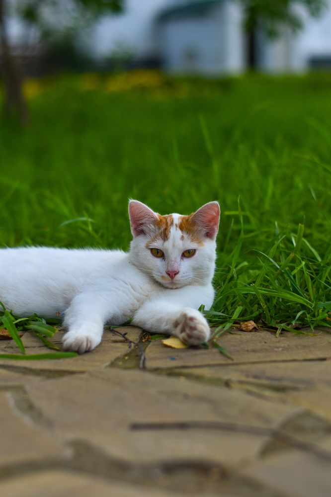 Photograph by Elvira