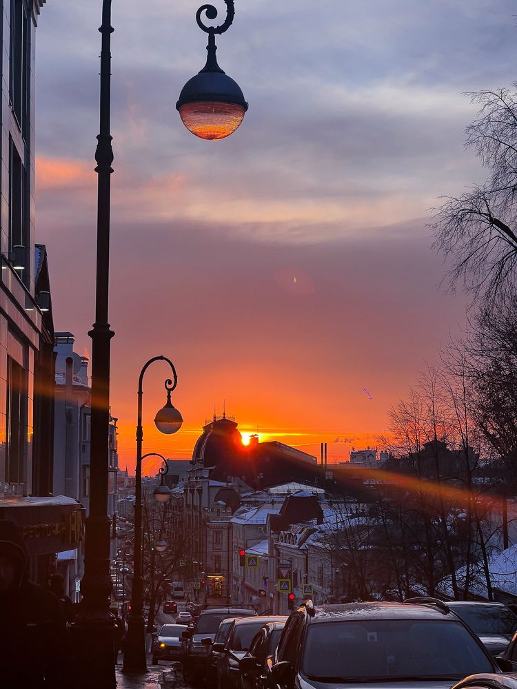 Photograph by Elvira