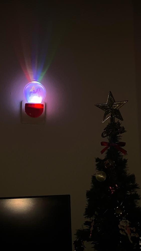 Photograph by İsmihan Mısır