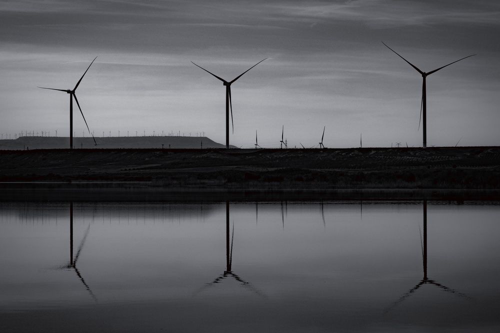 Фотография автора Emi D