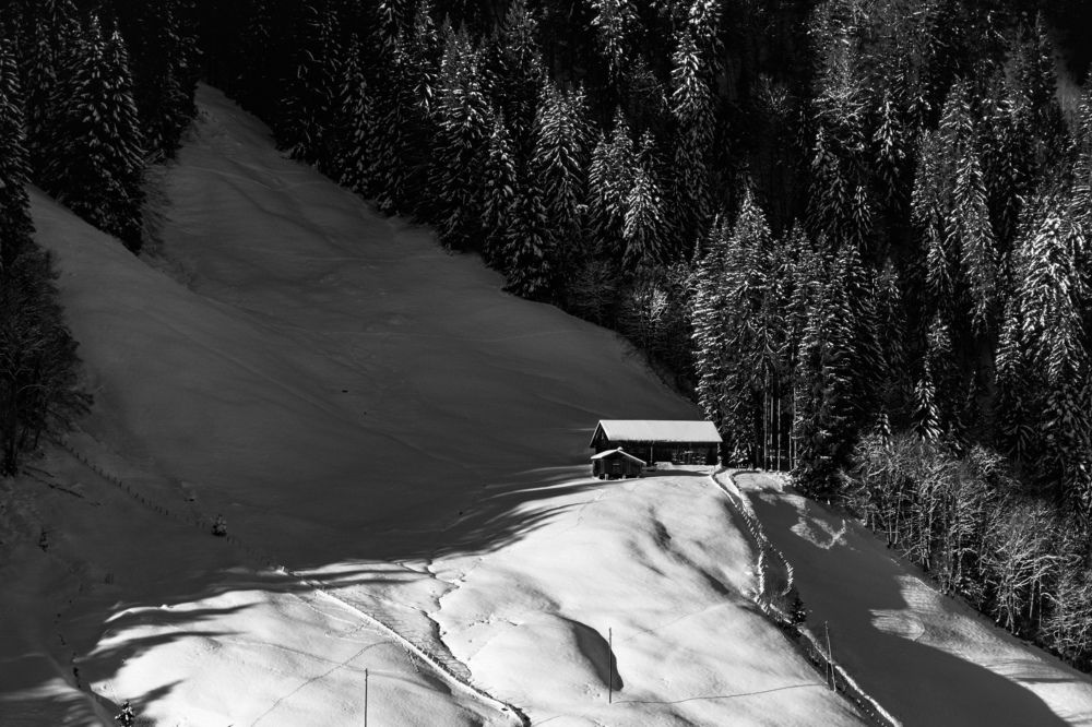 Фотография автора Emi D