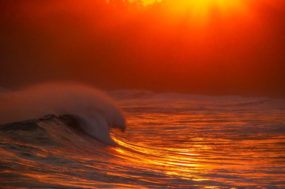 Фотография автора Emi D