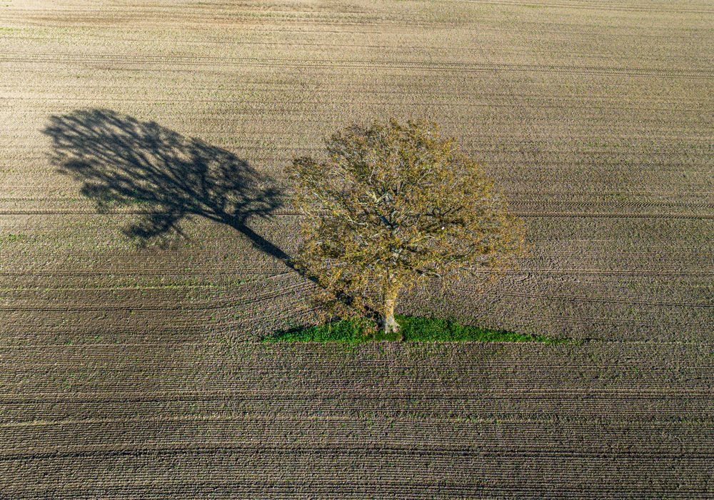 Фотография автора Emi D