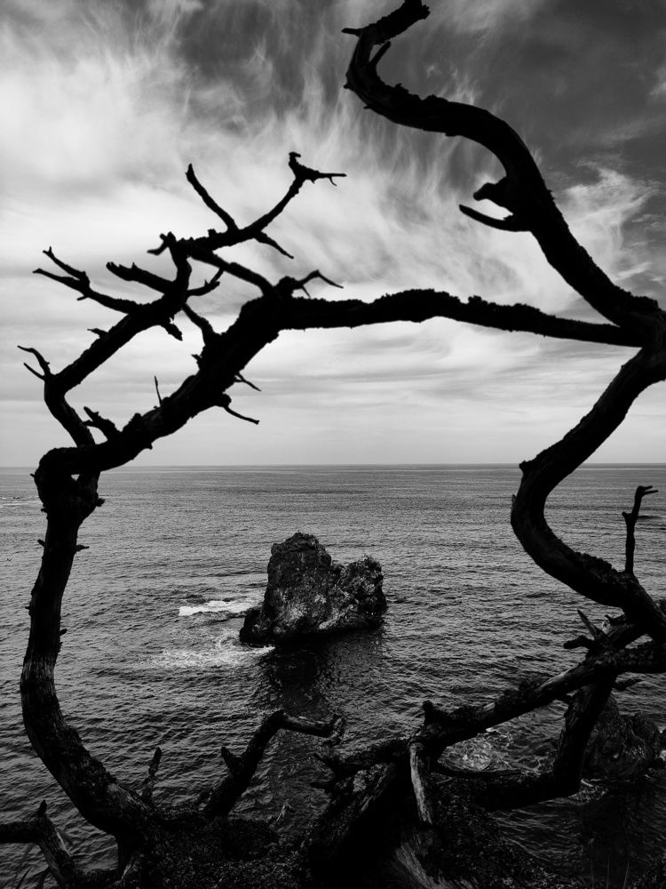 Фотография автора Илья