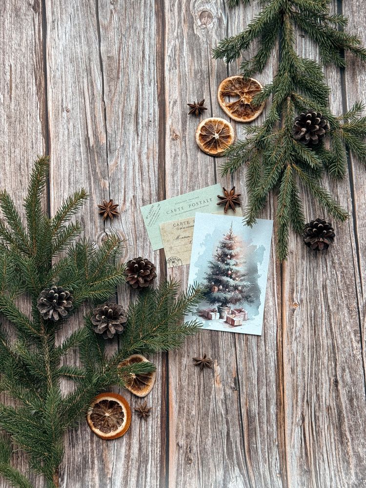 Photograph by Maria Volnova