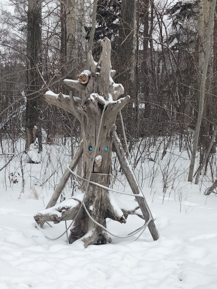 Photo #11570451