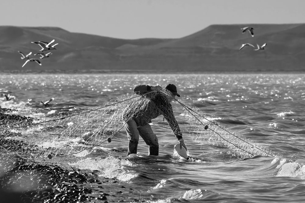 Photograph by Edgardo Cardenas