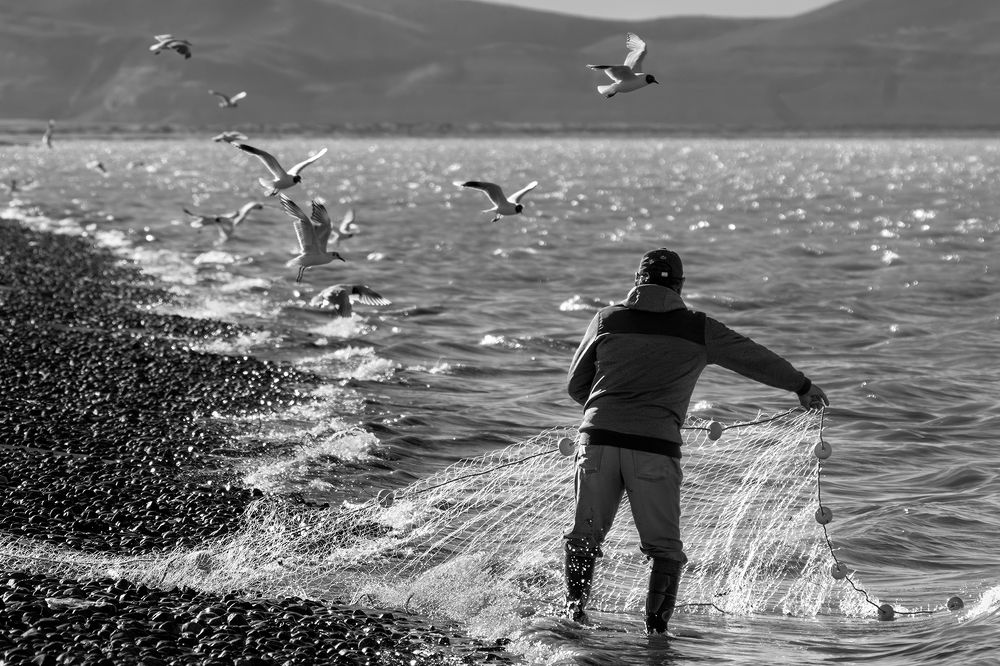 Фотография автора Edgardo Cardenas