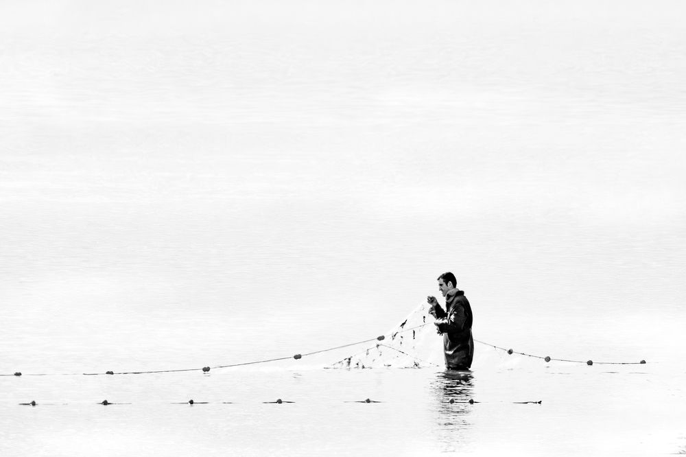 Фотография автора Edgardo Cardenas