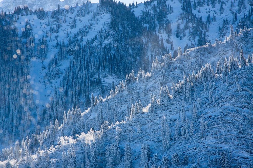 Фотография автора Andrey Shishkalov