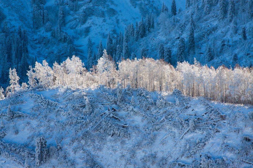 Photograph by Andrey Shishkalov