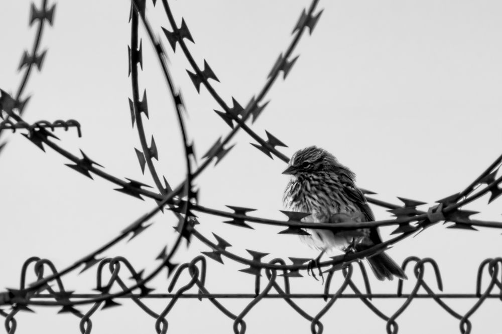 Фотография автора Edgardo Cardenas