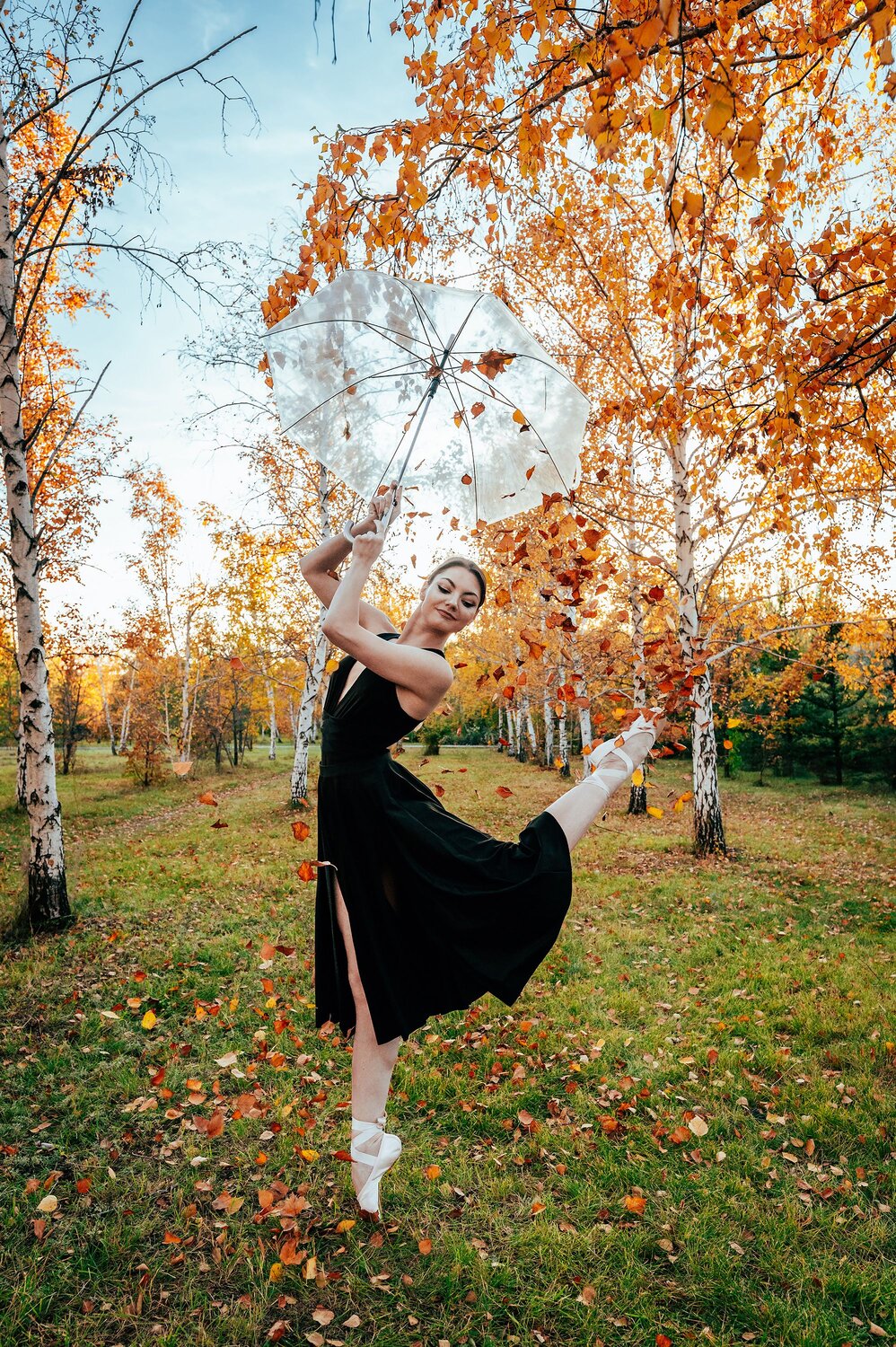 Photo #11570520