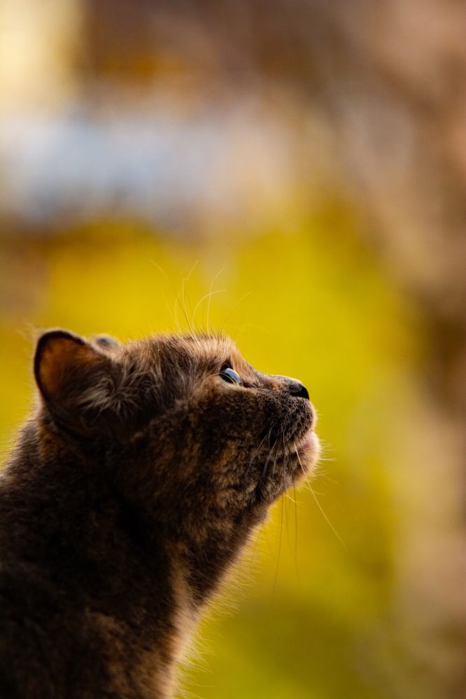 Photograph by Алёна Лозовая