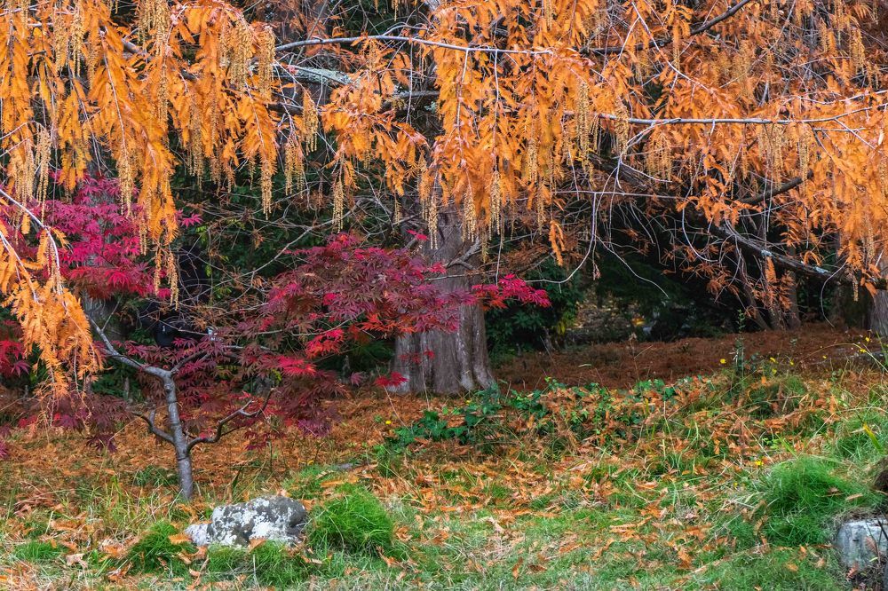 Photograph by mikhail goryachev