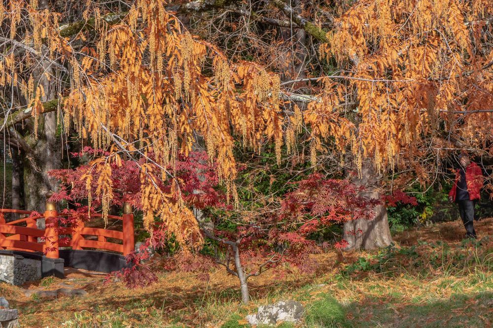 Photograph by mikhail goryachev