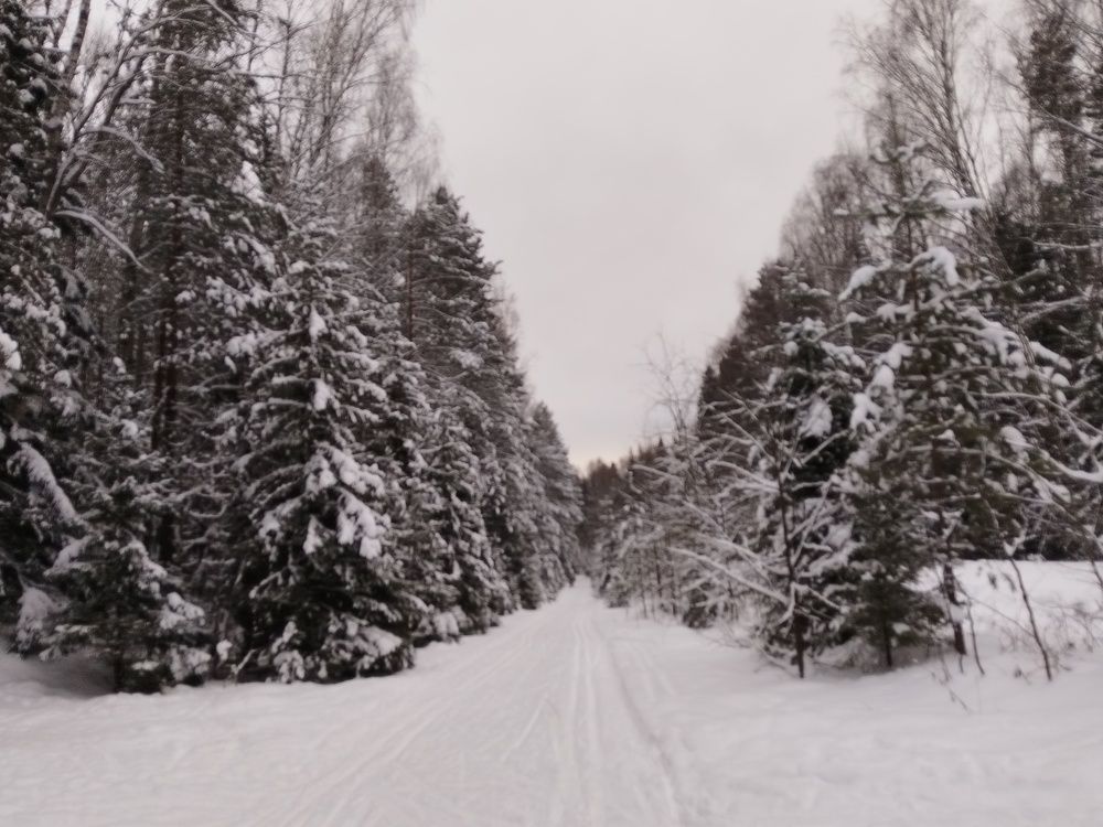 Photo #11570583