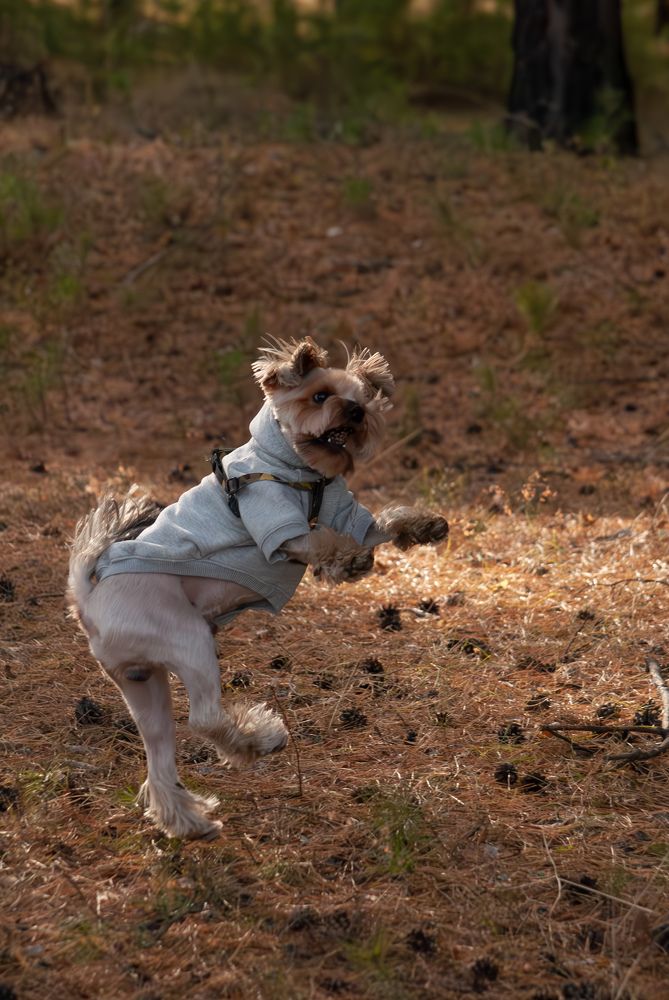 Фотография автора Виктория Астахова