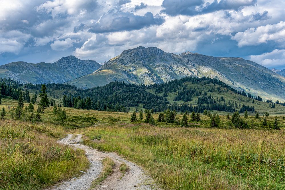 Photograph by Алексей Торлопов