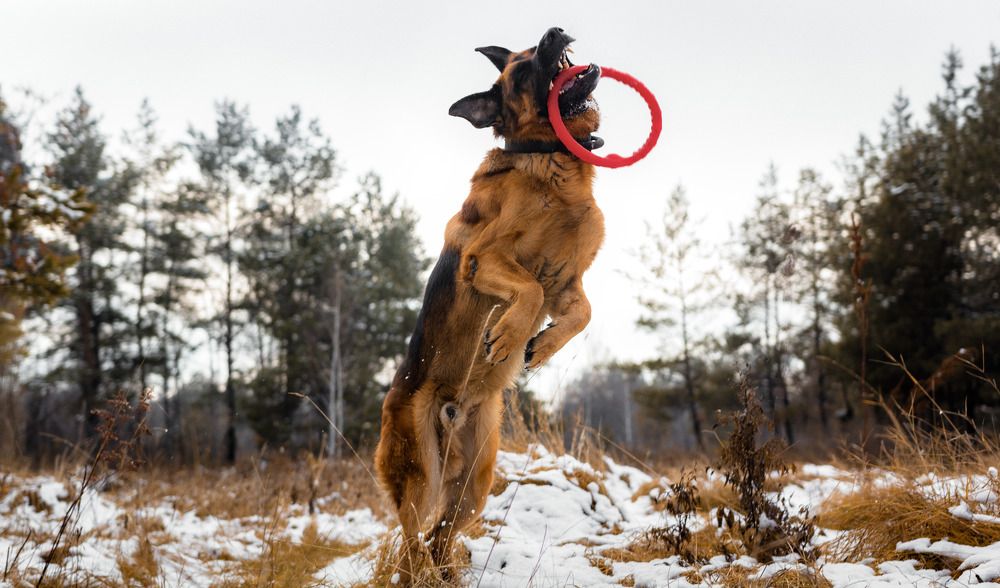 Photograph by Андрей Летов