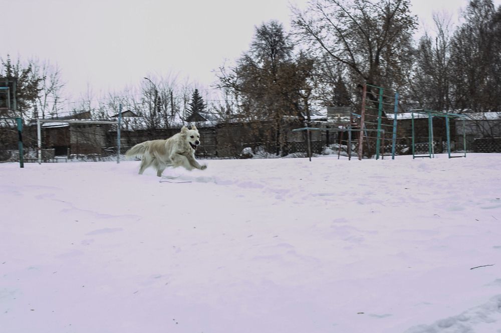 Photograph by Татьяна Шахматова