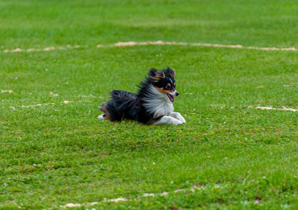 Photograph by Вадим Басов