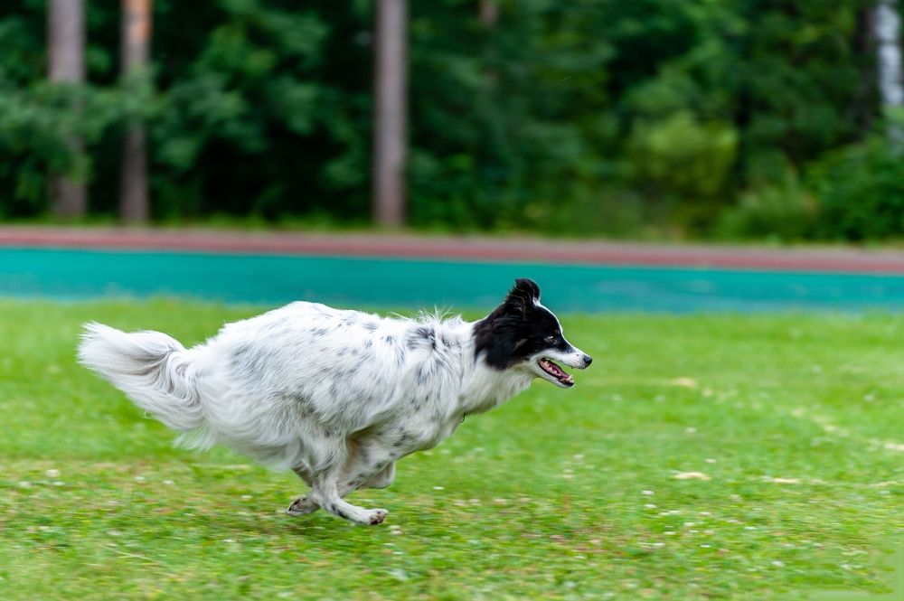 Photograph by Вадим Басов