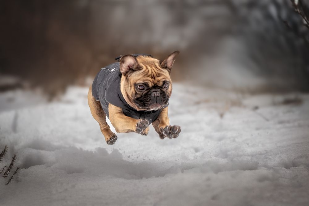 Photograph by Самусенкова Елена