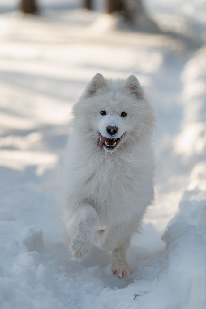 Photograph by Vyacheslav Bolyakin