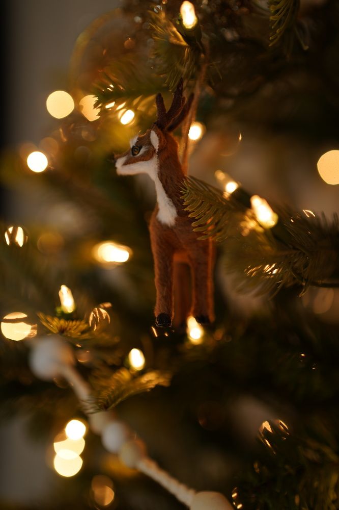 Photograph by Olga Maslova