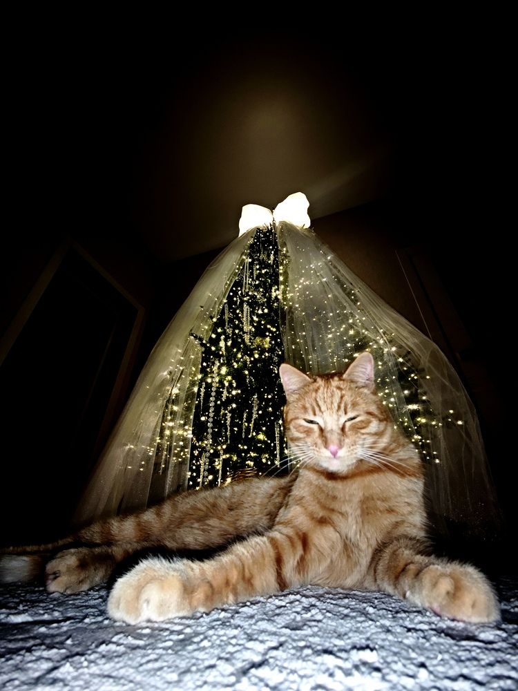 Photograph by Валерий Гудков