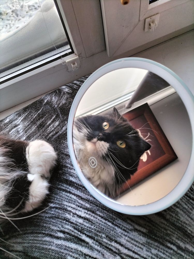 Фотография автора Максим Гафнер