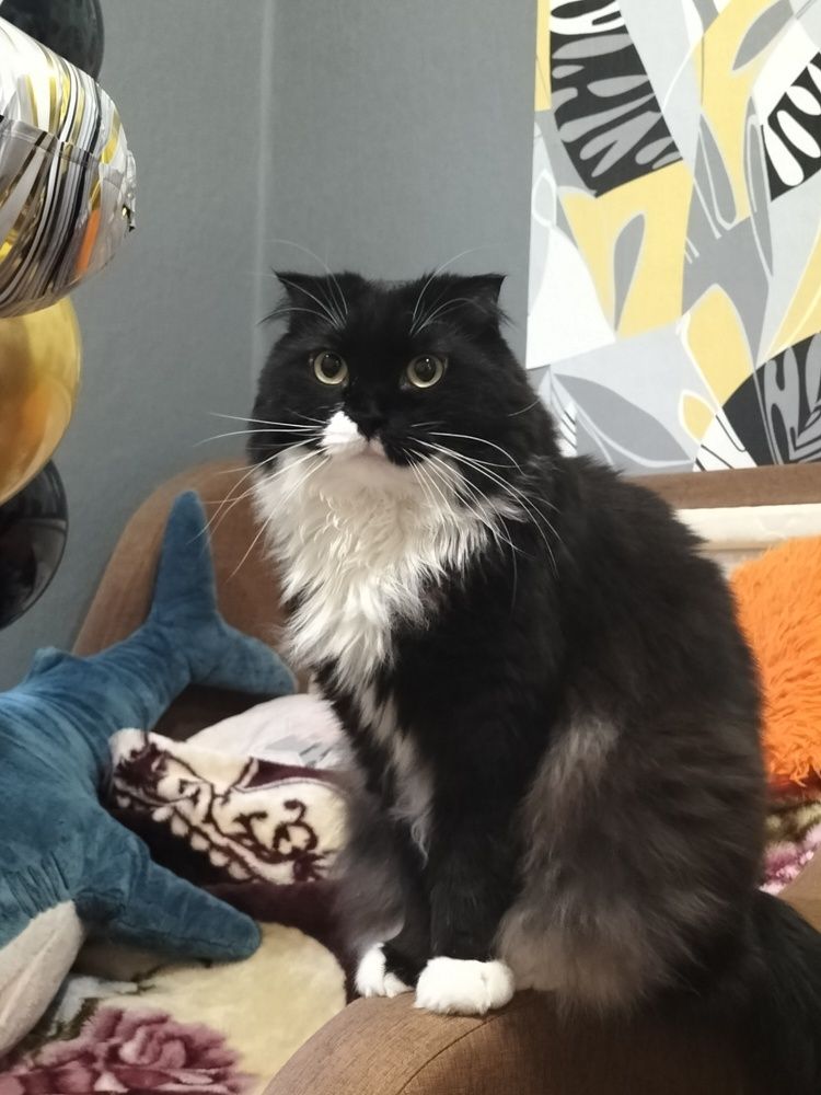 Фотография автора Максим Гафнер